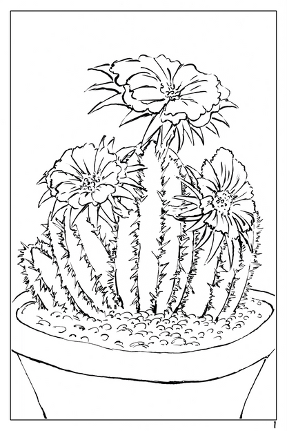 watercolor flower workbook page 1, coloring page of a blooming cactus 