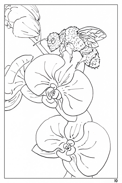 watercolor flower workbook, coloring page of an orchid with a bee on it 