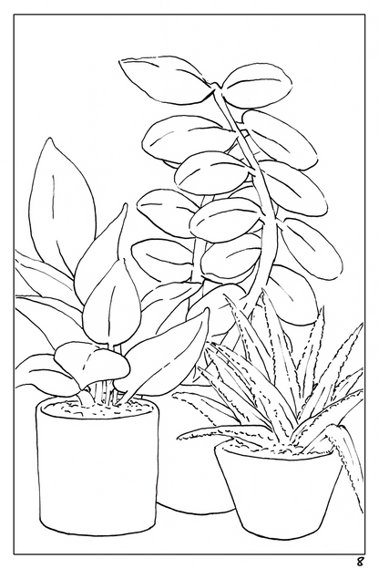 watercolor workbook page 8, coloring page of a rubber plant and an aloe vera plant 