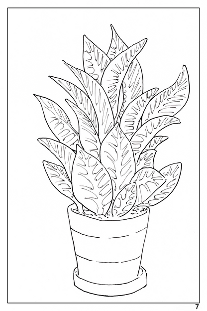 watercolor flower workbook page 7, coloring page of a potted croton plant 