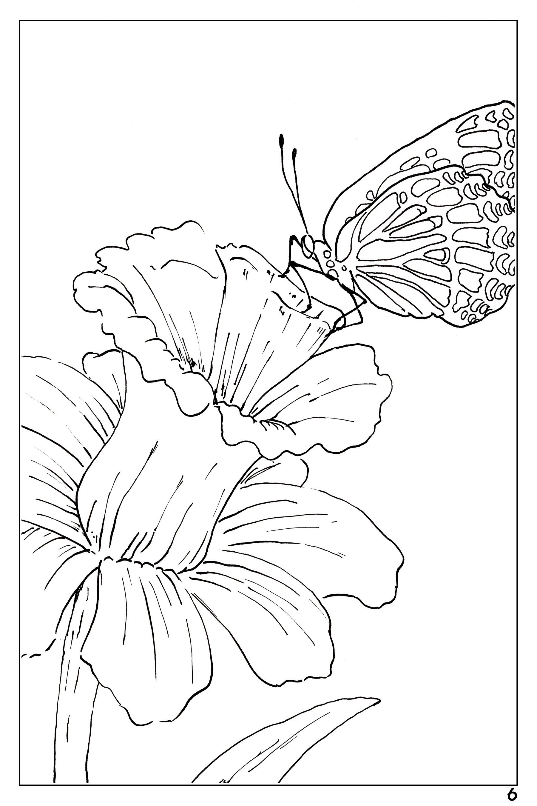 Cute COLORING BOOK, Honey BEE Gifts, Activity Books, Floral Bee Printable  Relaxing Coloring Page, Botanical Insect Entertainment