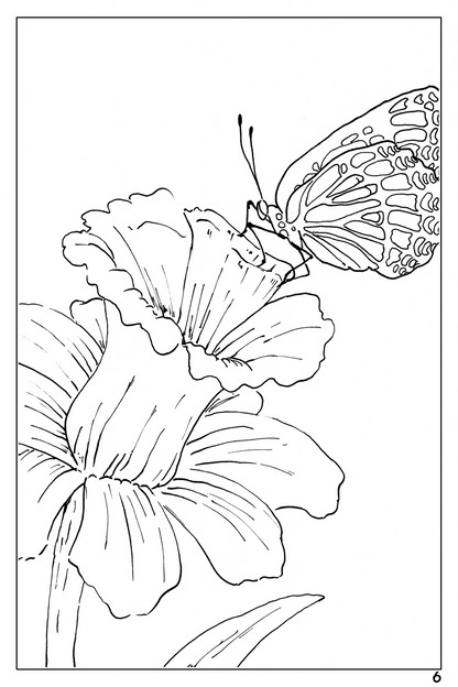 watercolor flower workbook page 6, coloring page of a butterfly on a daffodil 