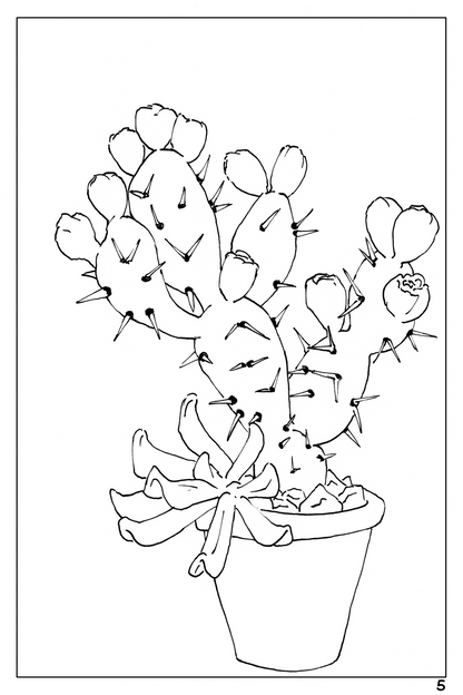 watercolor flower painting workbook, coloring page of a cactus with succulent 