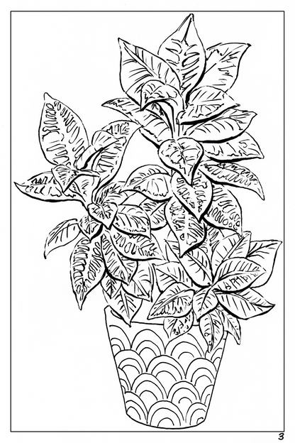 watercolor flower workbook, coloring page of a potted croton plant 