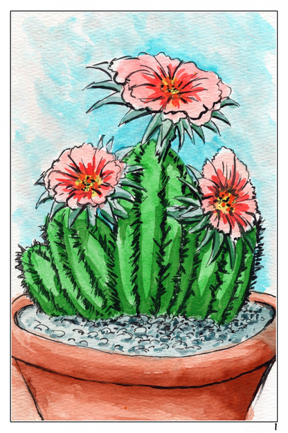 watercolor flower painting of a cactus in bloom 