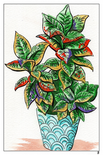 watercolor flower painting of a potted croton plant 