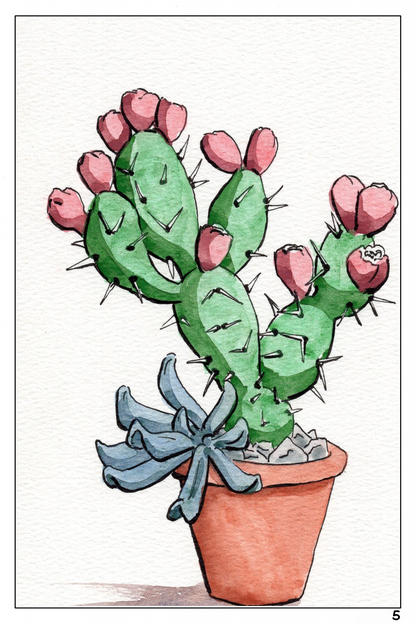 watercolor painting of a cactus with a succulent 