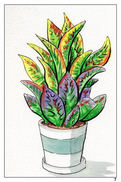 watercolor flower painting of a potted croton plant 