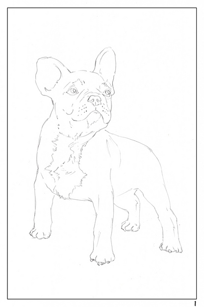 watercolor workbook page 1, French bulldog