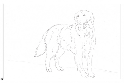 watercolor workbook page 10, coloring page of a golden retriever 