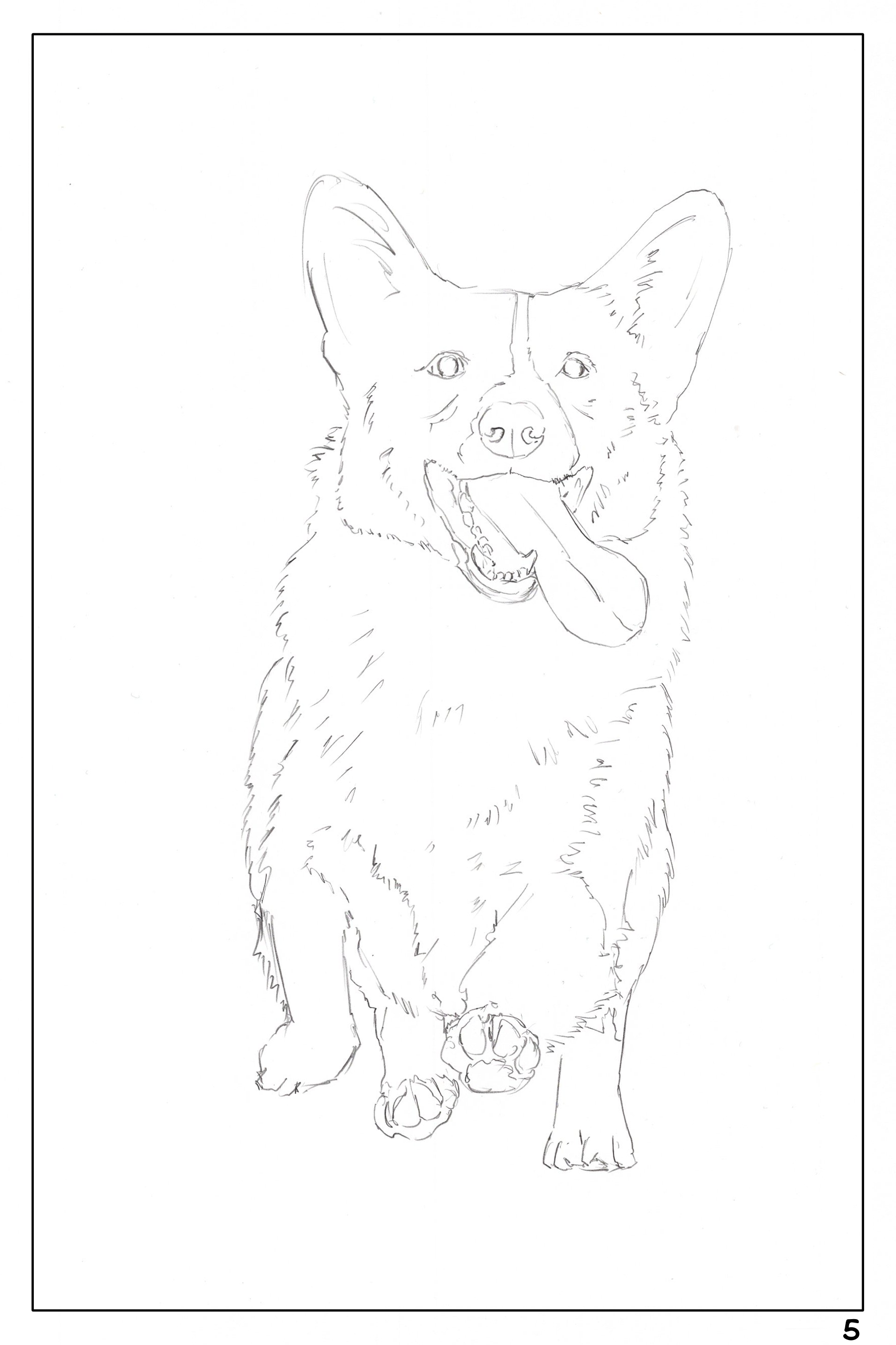 watercolor workbook page 5, coloring book Corgi 