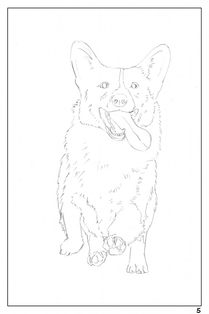 watercolor workbook page 5, coloring book Corgi 