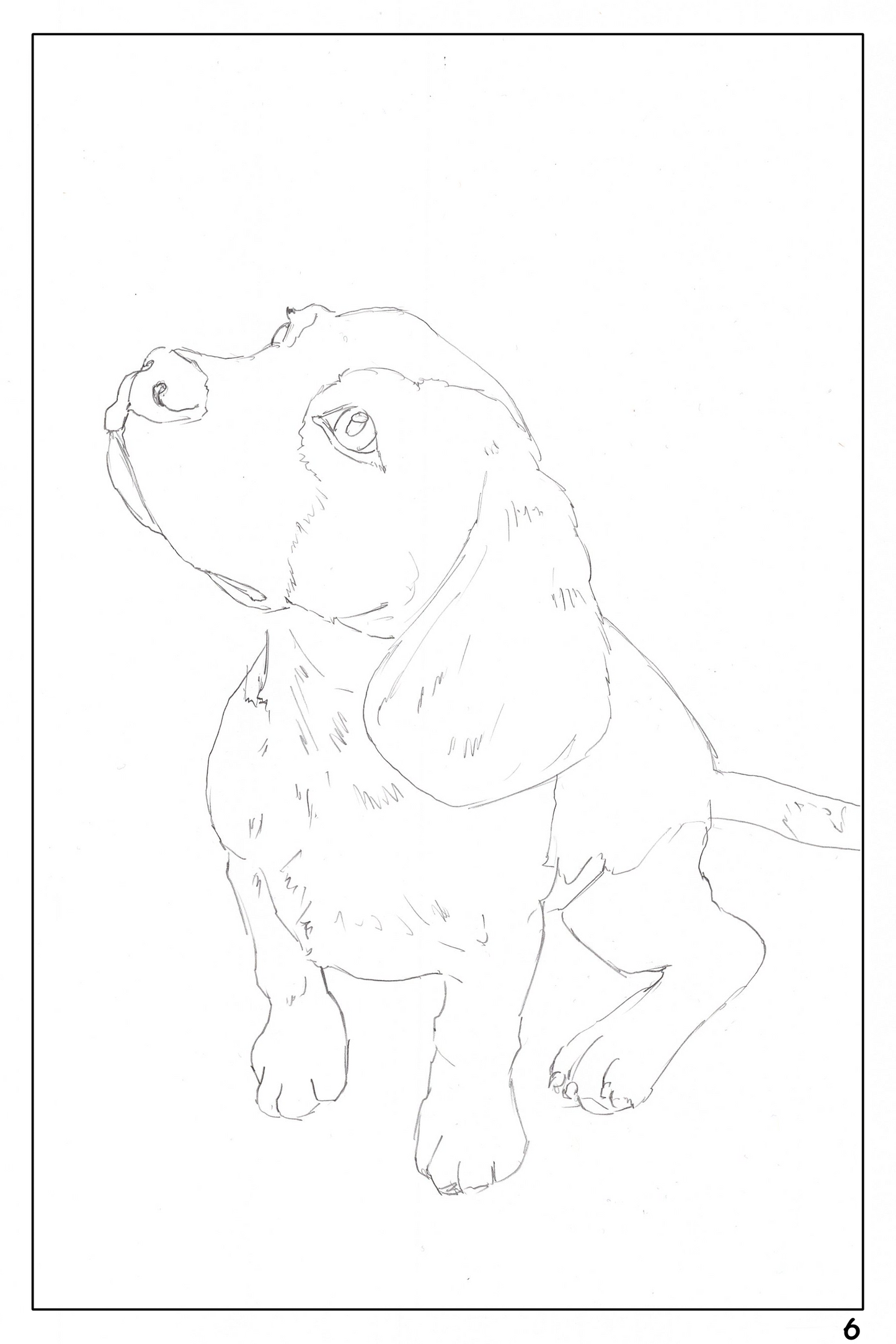 watercolor workbook page 6, coloring page of a Beagle 