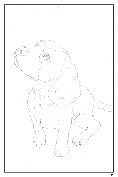 watercolor workbook page 6, coloring page of a Beagle 