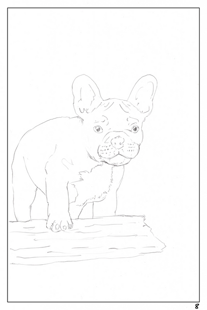 Watercolor workbook page 8, coloring page of a French Bulldog