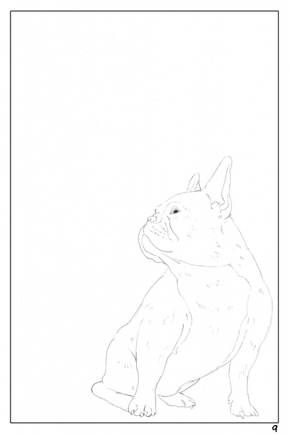 watercolor workbook page 9, coloring page of a cute French Bulldog looking up to the left