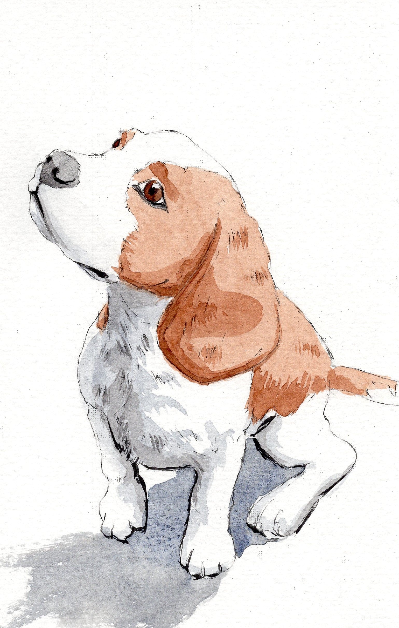 Watercolor painting of a Beagle 